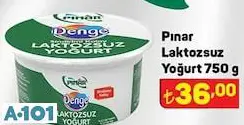 PINAR LAKTOZSUZ YOĞURT PINAR LAKTOZSUZ YOĞURT